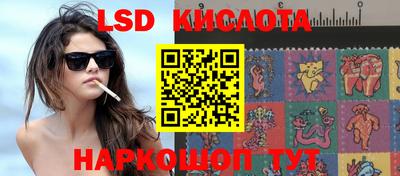spice Свободный