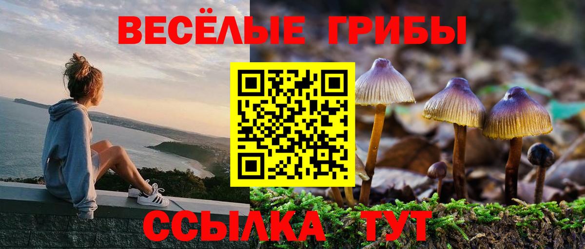 Псилоцибиновые грибы MAGIC MUSHROOMS Малгобек