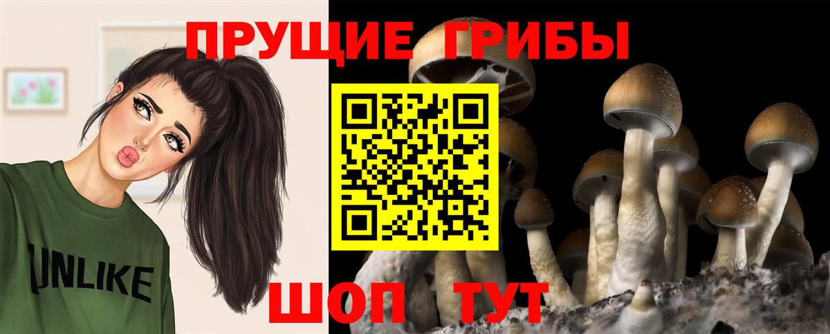 купить   Вход с VPN  Галлюциногенные грибы Cubensis  Малгобек  Галлюциногенные грибы ЛСД 