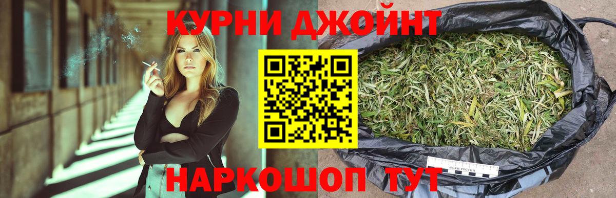 Конопля OG Kush Малгобек